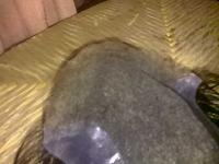 post-22289-1270086668173_thumb.jpg