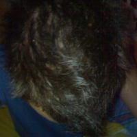 post-12683-1211322640_thumb.jpg