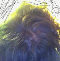 post-22879-12512339684695_thumb.jpg