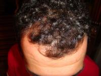 post-17031-1221569599_thumb.jpg
