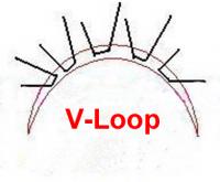 V-Loop.jpg