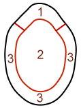 post-24693-023859700 1286210141_thumb.jpg