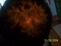 post-58-1095573250_thumb.jpg