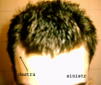 post-58-1099064893_thumb.png